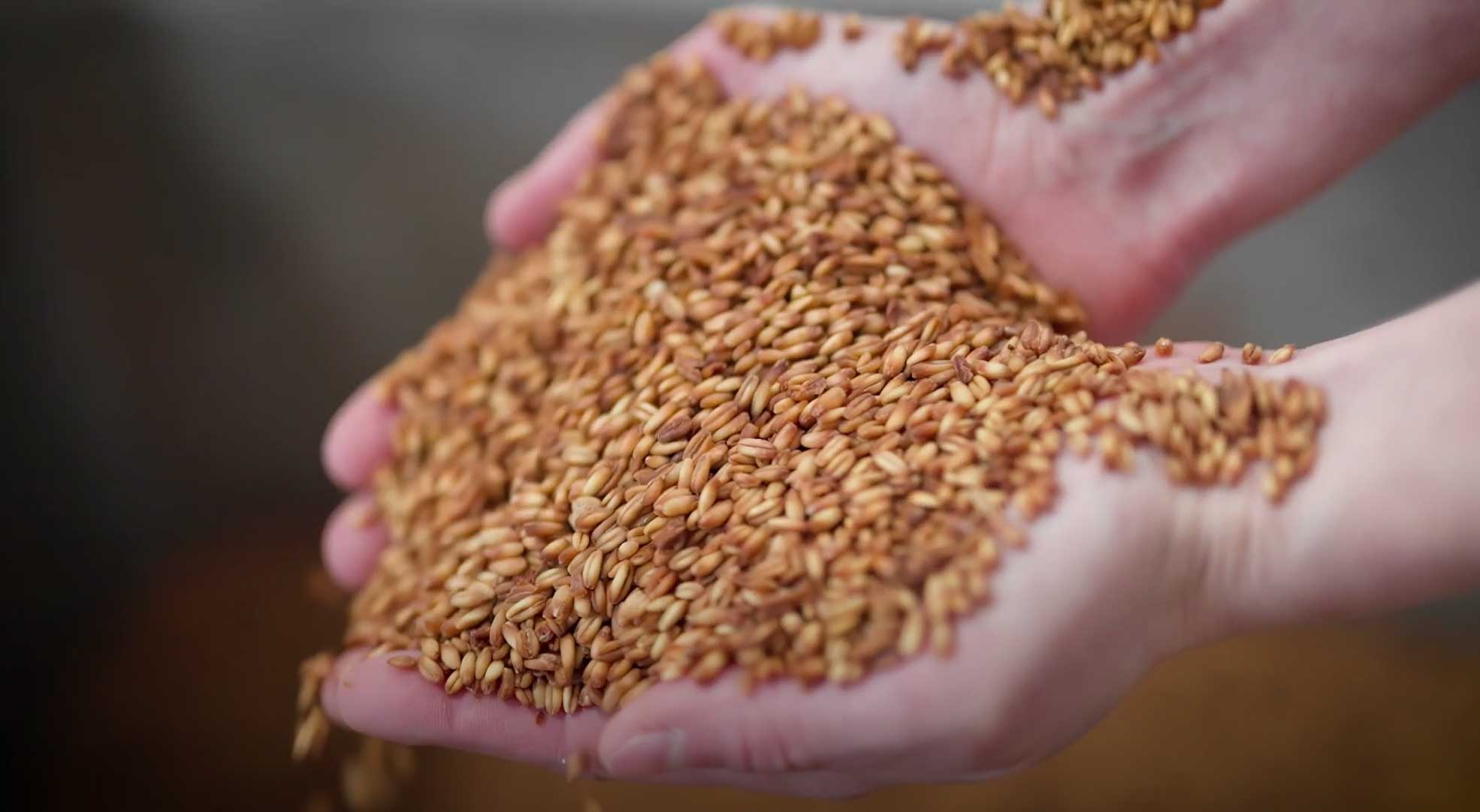 Planet A Foods Video